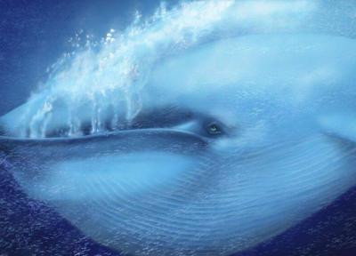 شنیدن صدای ضربان قلب نهنگ آبی برای نخستین بار ، نهنگ در اعماق فقط با دو ضربان قلب در دقیقه زنده می ماند