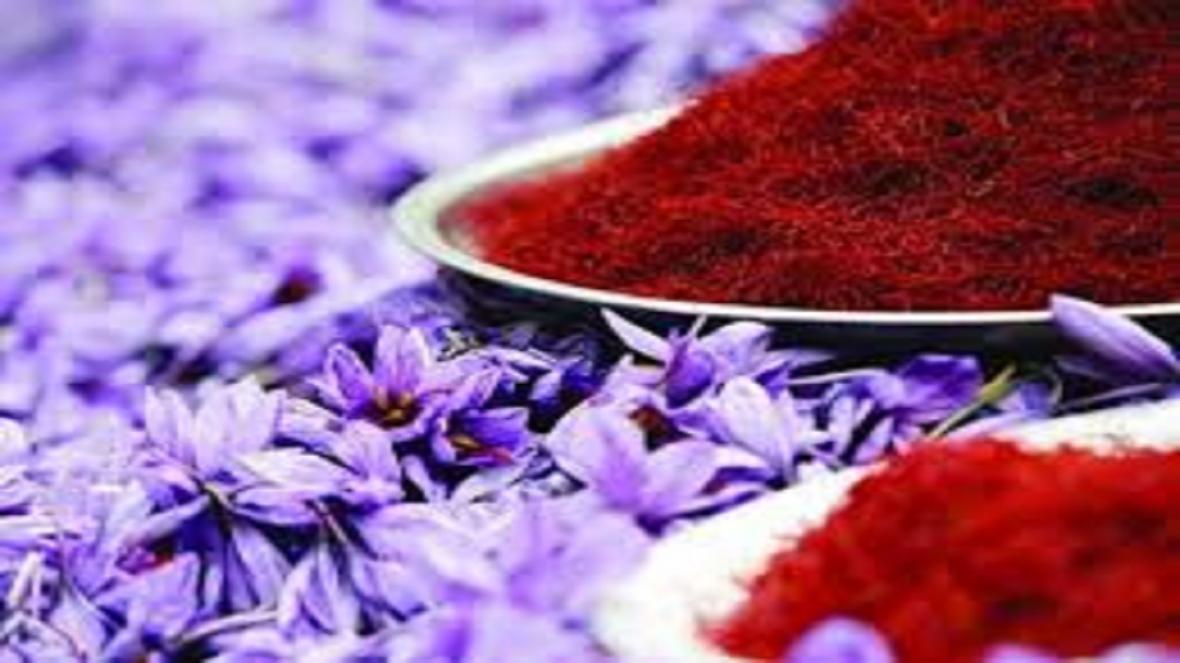 شروع به کار بزرگترین بازار خریدو فروش گل زعفران در تربت حیدریه