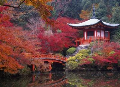 در ژاپن: باغ ها و معابد زیبای کیوتو