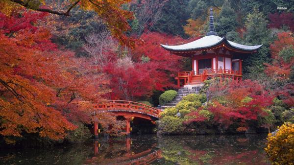در ژاپن: باغ ها و معابد زیبای کیوتو